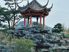 -顺峰山公园