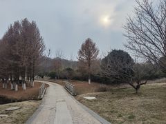 -南山风景名胜区