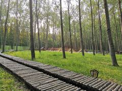 -黄海国家森林公园