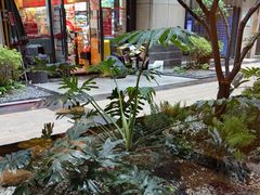 -锦城印象火锅(天府三街店)