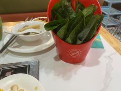 -三毛牛肉店(福强店)