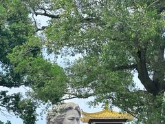 景点-橘子洲景区