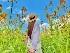 -中国天府农业博览园