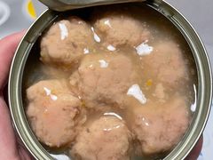 -comecome来吧宠物(奥克斯中心店)