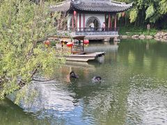 -水绘园