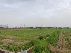 -嘉北郊野公园