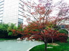 -钓鱼台国宾馆