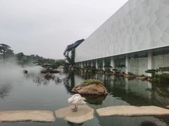 -罗红摄影艺术馆