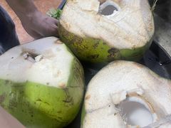 -东山羊庄(八卦岭店)