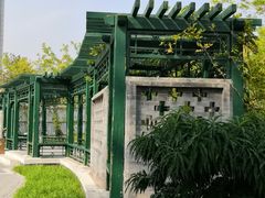 -西海子公园