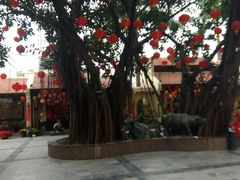 -河内西湖莲花自助餐厅