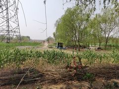 -白洋淀景区