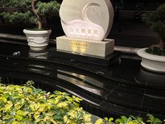 -广州白天鹅宾馆