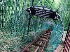 -宁波浙东大竹海景区