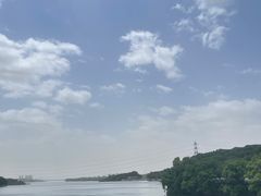 -沈阳鸟岛