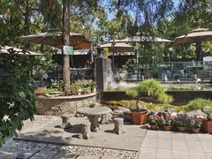 -蘇河湾·新鲁菜·泰山宴(泰山店)
