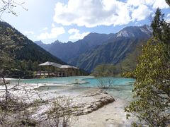 -黄龙山原始森林景区