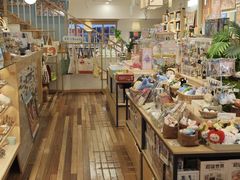 -猫的天空之城概念书店(束河店)