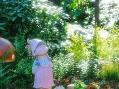 -共青国家森林公园-售票处