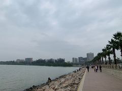 -宝安西湾红树林湿地公园