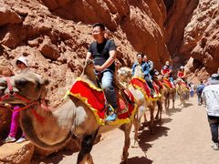 -天山神秘大峡谷