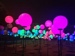 -锦江乐园舞狸花花游园会(夜场专享)