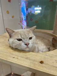 -Moni星球萌宠·小马宝莉·灵蛇·高端高阶全萌宠互动体验俱乐部(红豆国际广场店)