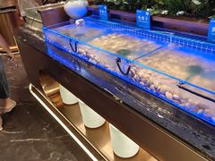 -鼎香缘海鲜自助火锅烤肉(锦辉购物广场店)