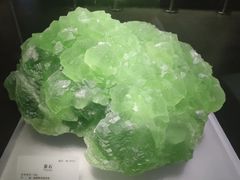 -湖南省地质博物馆