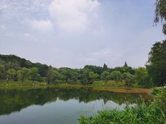 -金陵矩阵(聚宝山公园店)