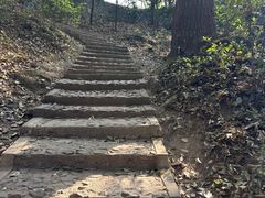 -上海佘山国家森林公园天马山园