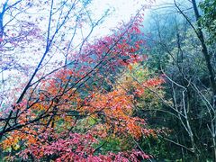 -天明山温泉大酒店