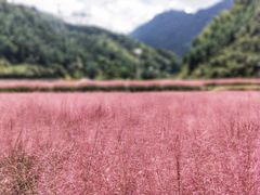 -永州阳明山国家森林公园