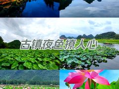 -普者黑风景区-青龙山