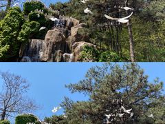 -燕塞湖鸟语林景区