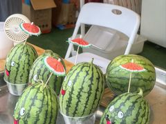 -回龙观体育文化公园