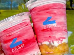 -白色日记·手作酸奶(麦凯乐店)