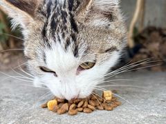 -味中味休闲小吃(同济路店)