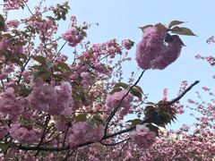 -苏州河梦清园环保主题公园