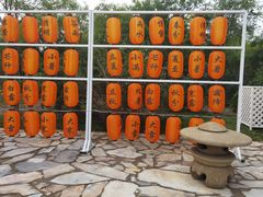 -天津东丽湖风景区