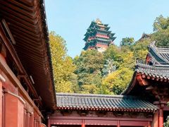 -阅江楼风景区