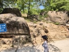 -白水寺森林公园