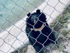 -石家庄市动物园