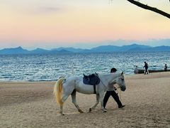 -玫瑰海岸文化旅游度假区