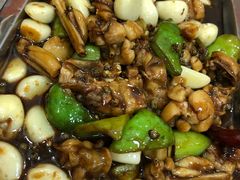 辣炒牛蛙-陈氏肥蛤(小纬六路总店)
