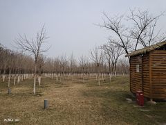 -西安浐灞国家湿地公园
