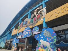 -泉城欧乐堡海洋极地世界