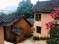-杨家堂村