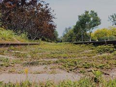 -永定河休闲森林公园