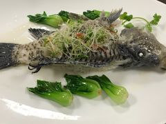 -Yan Ting 宴庭中餐厅(上海静安瑞吉酒店)
